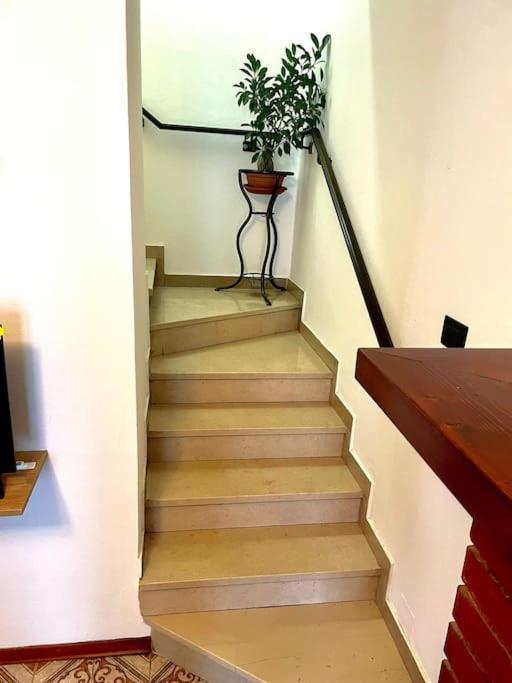 Casa Vacanze Ca' Di Lucchini San Benedetto Val di Sambro Esterno foto